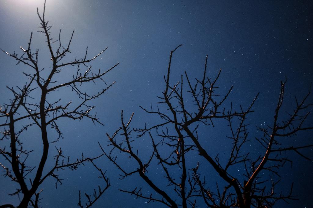 Evgeniy Alyoshin on unsplash.com